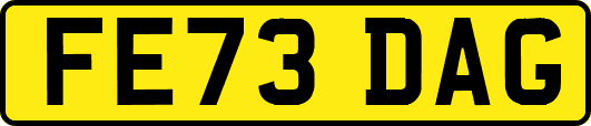 FE73DAG