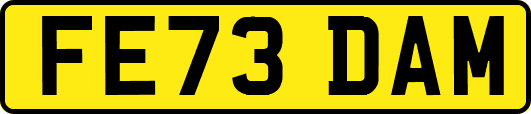 FE73DAM