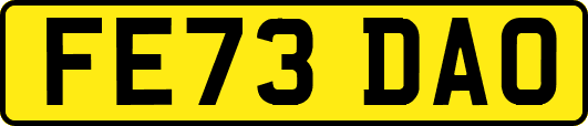 FE73DAO