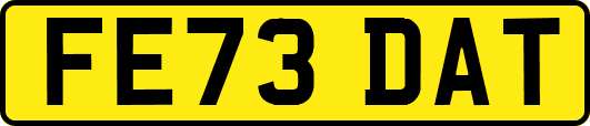 FE73DAT