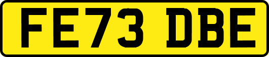 FE73DBE