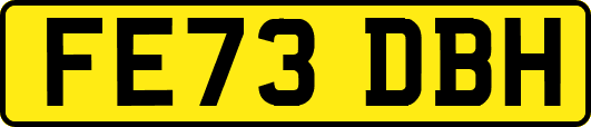 FE73DBH