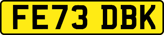 FE73DBK