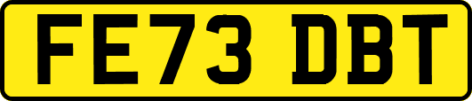 FE73DBT