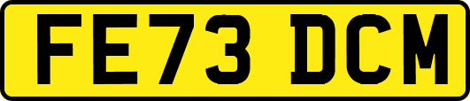 FE73DCM