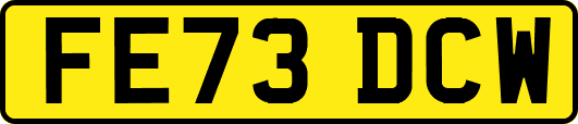 FE73DCW