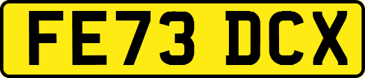FE73DCX