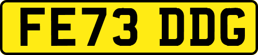 FE73DDG