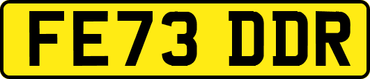 FE73DDR