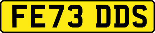 FE73DDS