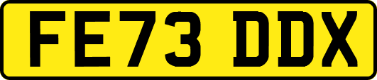 FE73DDX