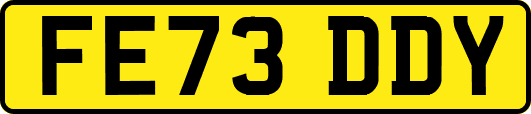 FE73DDY