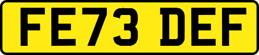FE73DEF