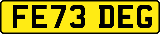 FE73DEG