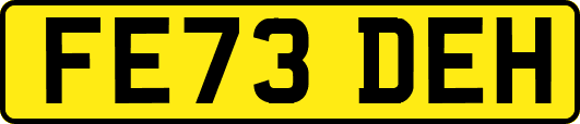 FE73DEH