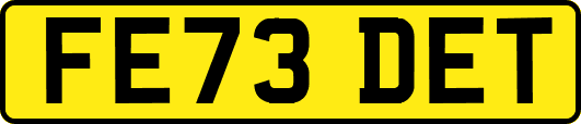 FE73DET