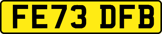 FE73DFB