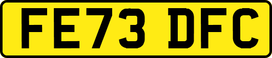 FE73DFC