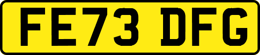 FE73DFG