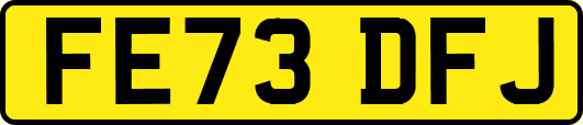 FE73DFJ