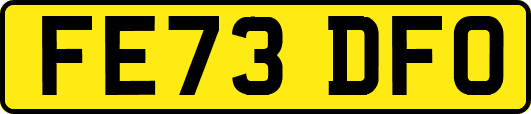 FE73DFO