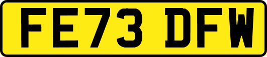 FE73DFW