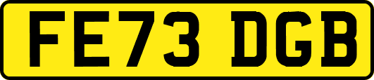 FE73DGB