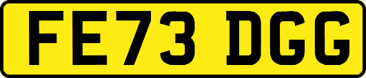 FE73DGG