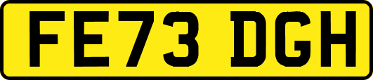 FE73DGH