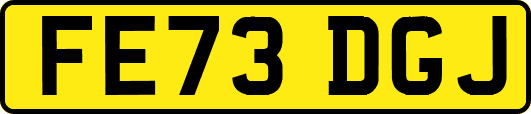 FE73DGJ