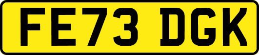 FE73DGK