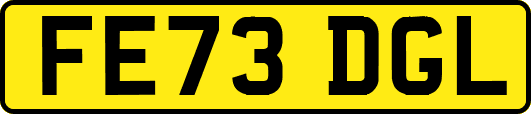 FE73DGL