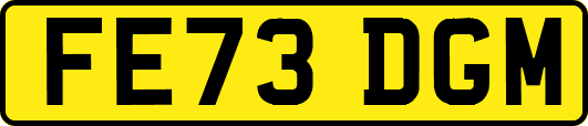 FE73DGM