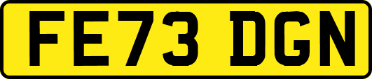 FE73DGN
