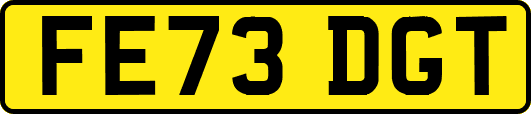 FE73DGT