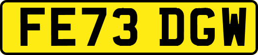 FE73DGW