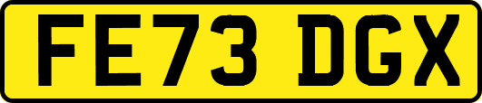 FE73DGX