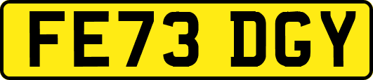 FE73DGY
