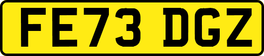FE73DGZ