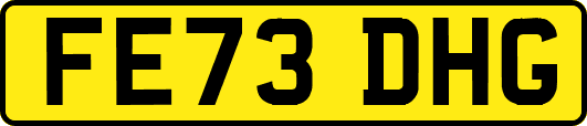 FE73DHG