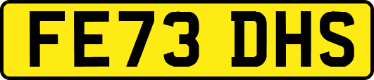 FE73DHS