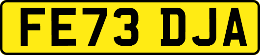 FE73DJA