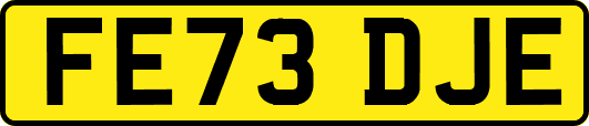 FE73DJE