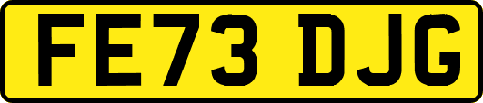 FE73DJG