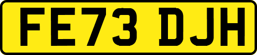 FE73DJH