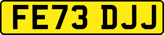 FE73DJJ