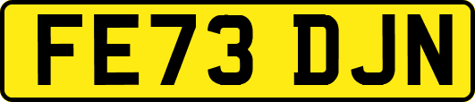FE73DJN