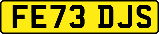 FE73DJS