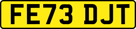 FE73DJT