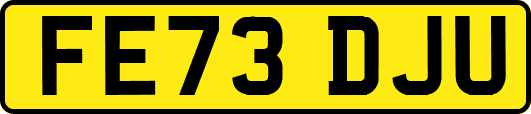 FE73DJU